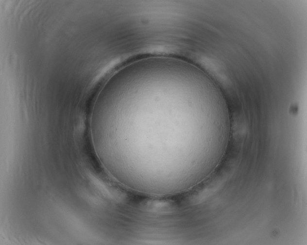 X0000092110208200709191335