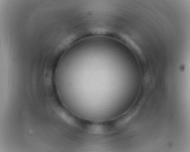 X0000092110209200709191335