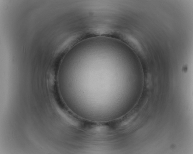 X0000092110210200709191335