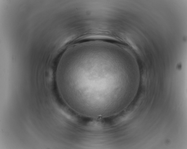 X0000092110211200709191335