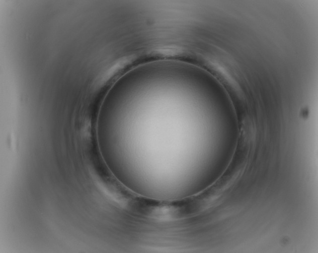 X0000092110212200709191335