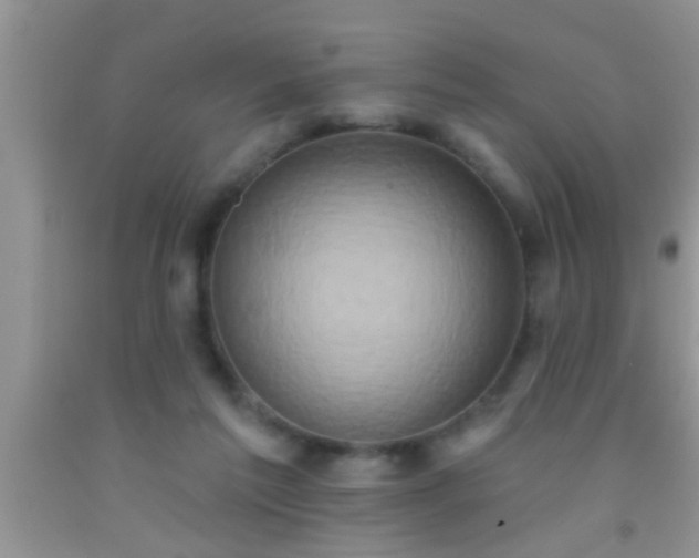 X0000092110213200709191335