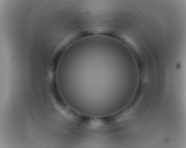 X0000092110214200709191335