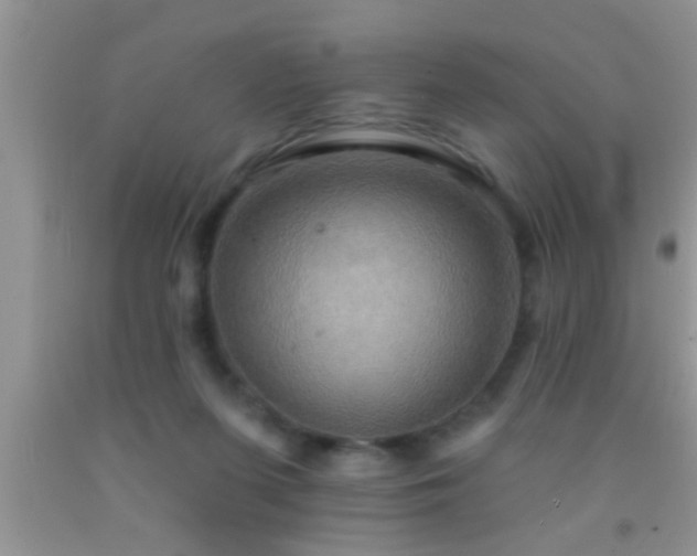 X0000092110215200709191334