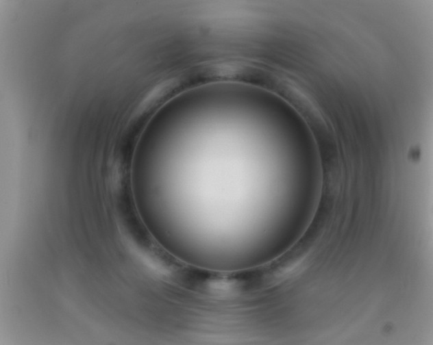 X0000092110216200709191334