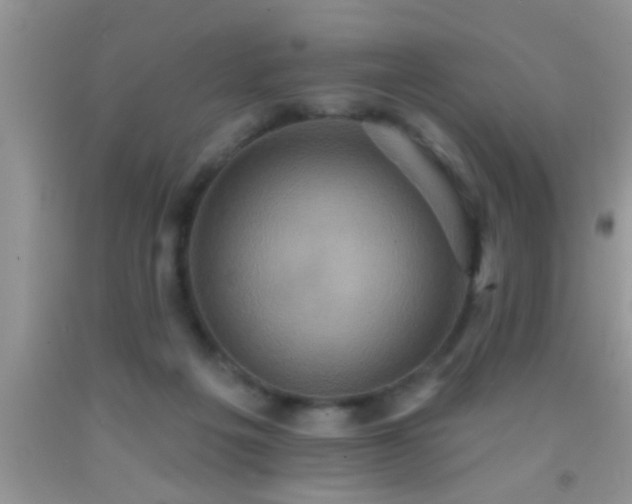 X0000092110217200709191334