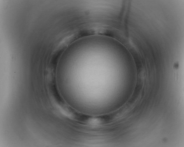 X0000092110218200709191334