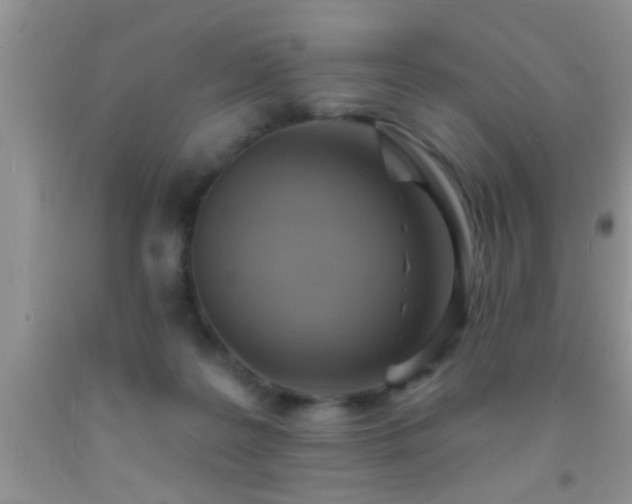 X0000092110219200709191334