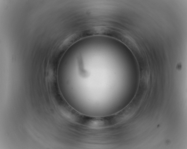 X0000092110220200709191334