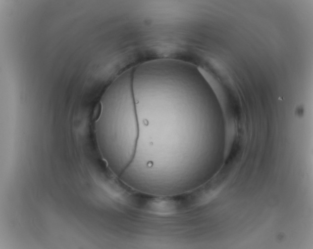 X0000092110221200709191334