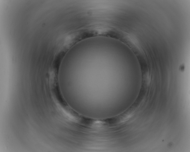 X0000092110222200709191334