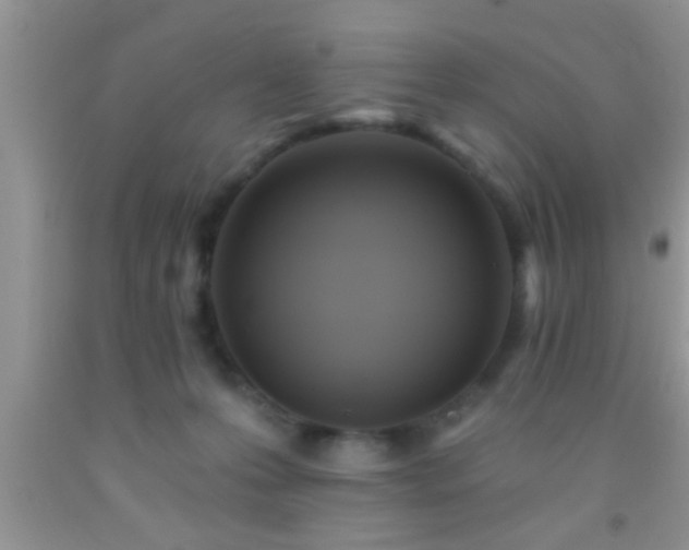 X0000092110223200709191334