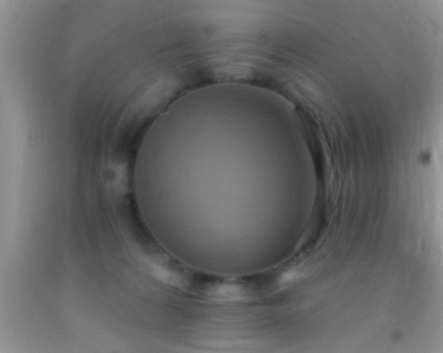 X0000092110224200709191334