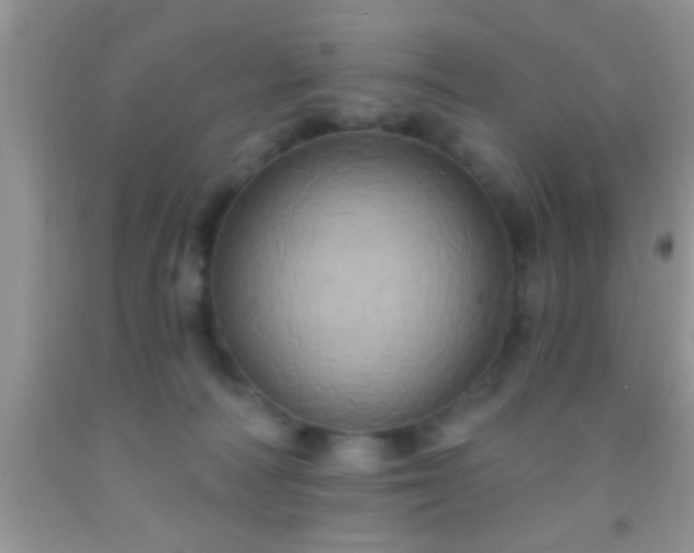 X0000092110226200709191334