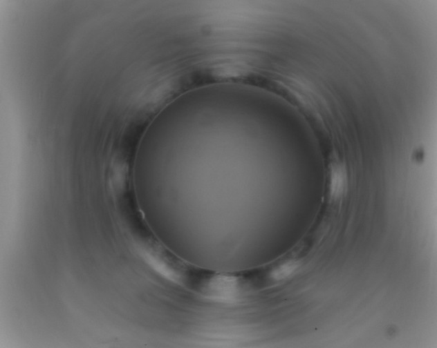 X0000092110227200709191334