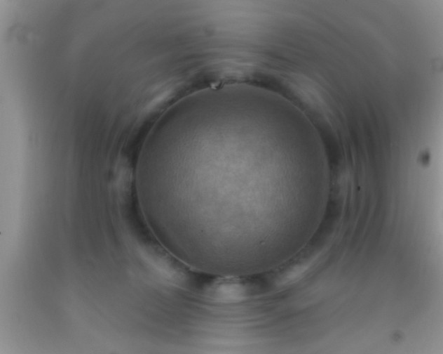 X0000092110228200709191334