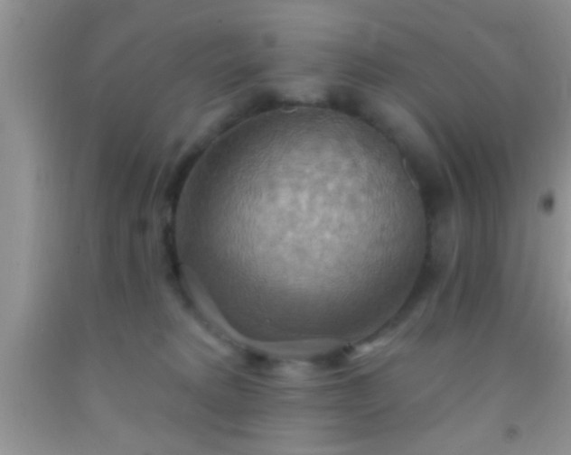 X0000092110229200709191334