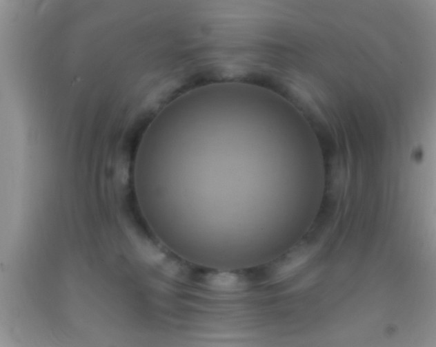 X0000092110230200709191334