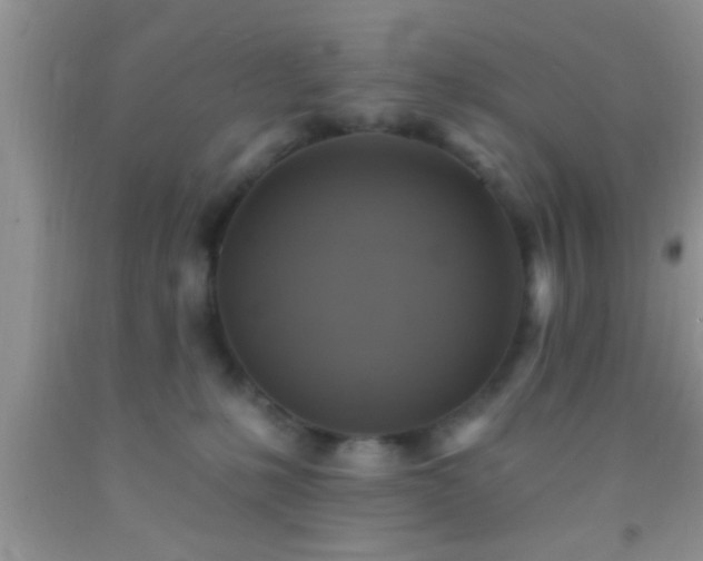 X0000092110231200709191334