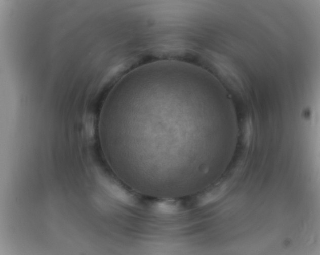 X0000092110232200709191334