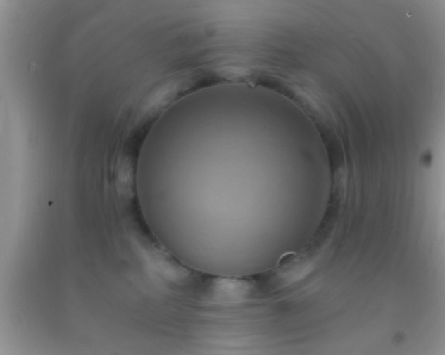 X0000092110234200709191334