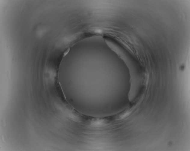 X0000092110235200709191334