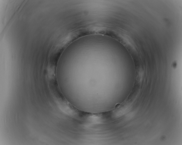 X0000092110236200709191334