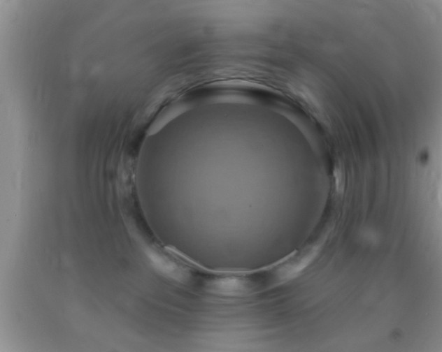 X0000092110237200709191334