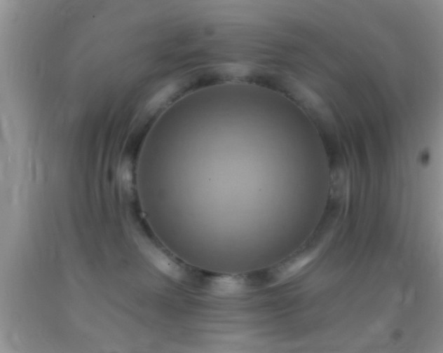 X0000092110238200709191334