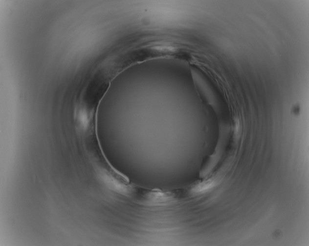 X0000092110239200709191334