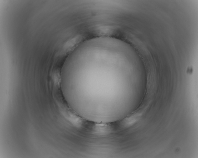 X0000092110240200709191334