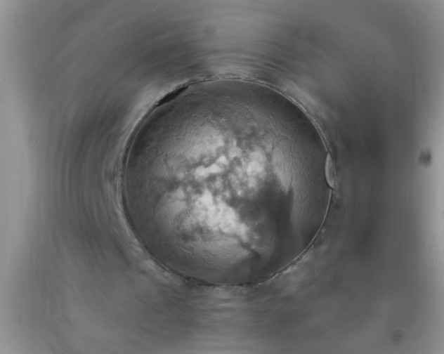 X0000092110241200709191334