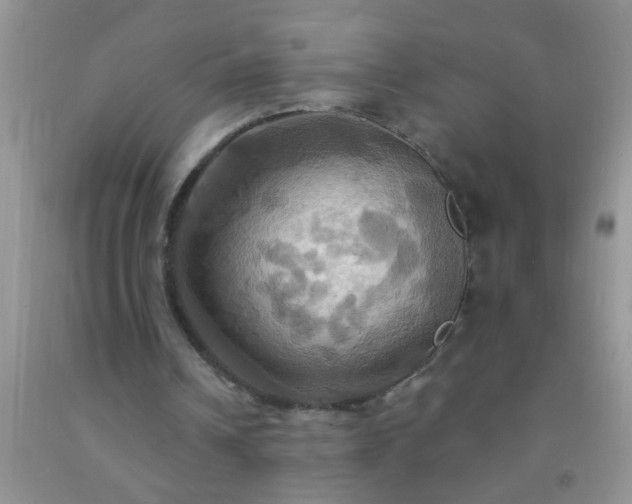 X0000092110242200709191334