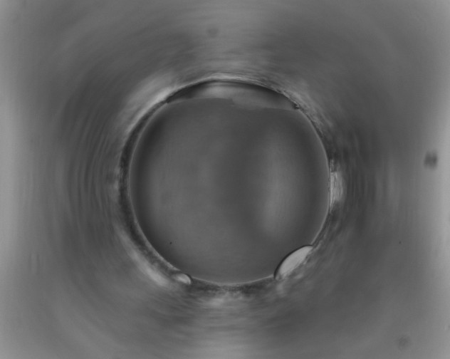 X0000092110243200709191334