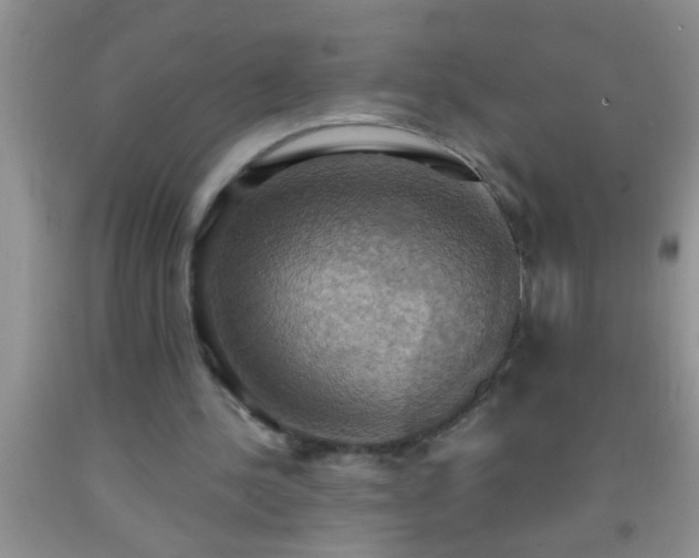 X0000092110244200709191334