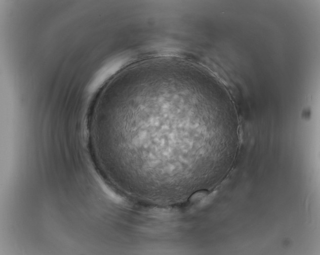 X0000092110245200709191334