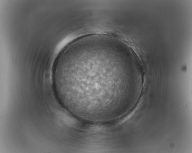 X0000092110246200709191334