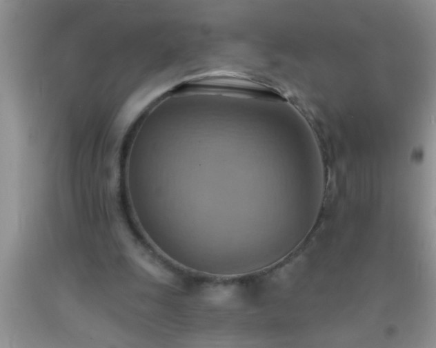 X0000092110247200709191334