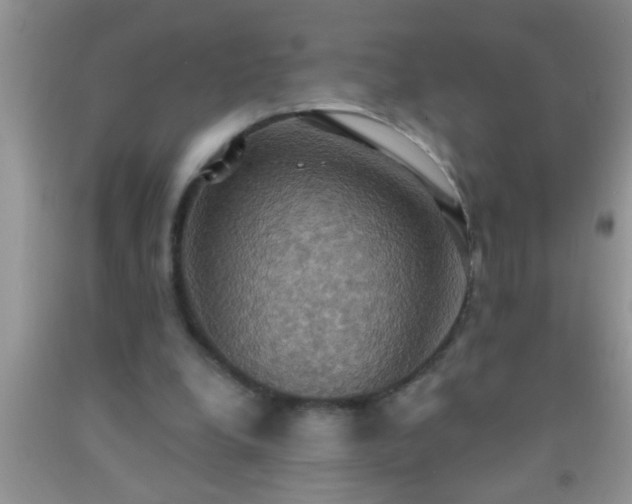 X0000092110248200709191334