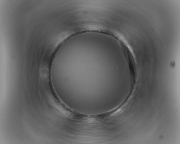 X0000092110249200709191334