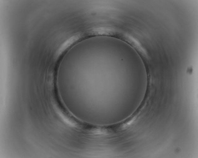 X0000092110250200709191334