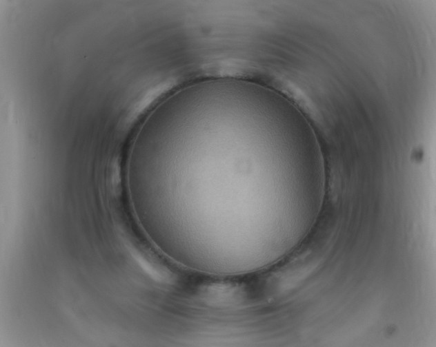 X0000092110251200709191334