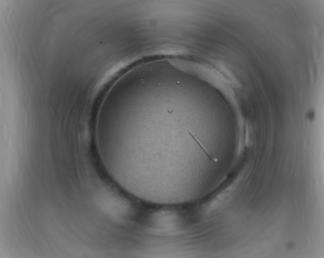 X0000092110252200709191334