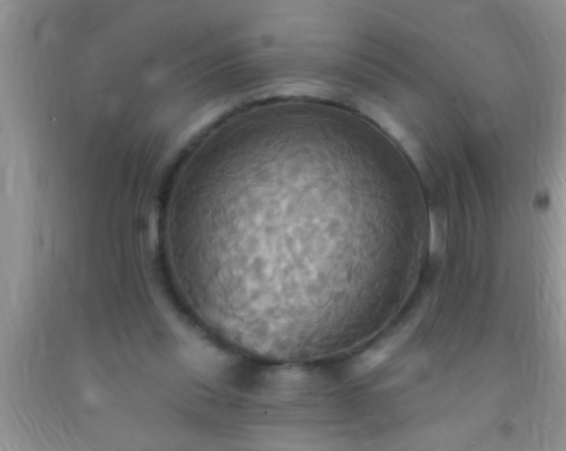 X0000092110253200709191334