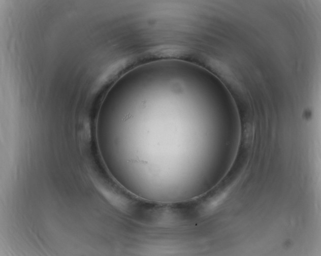 X0000092110254200709191334