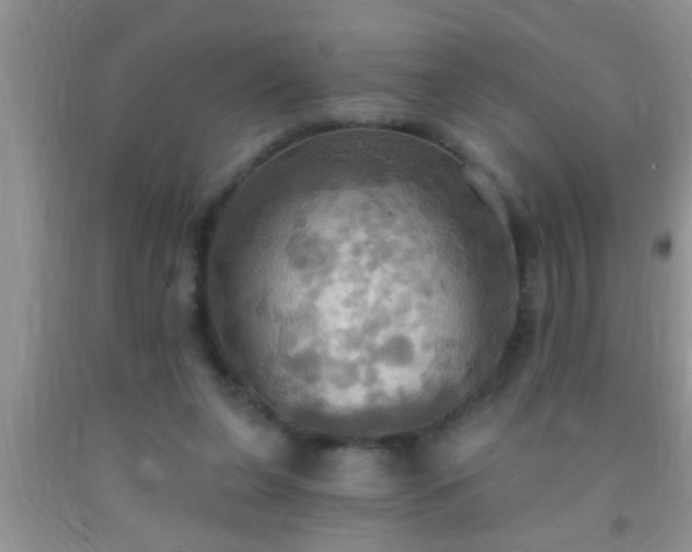 X0000092110255200709191334