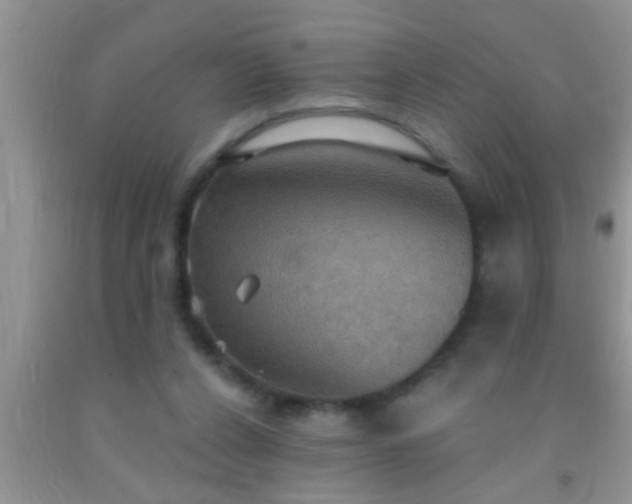 X0000092110256200709191334