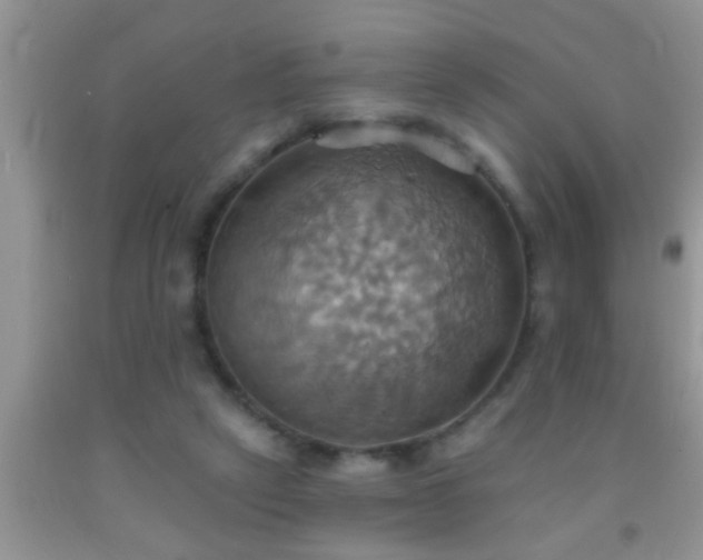 X0000092110257200709191334