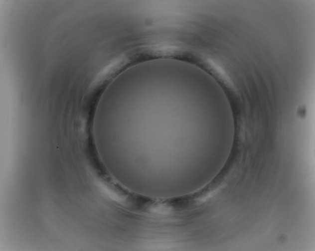 X0000092110258200709191334