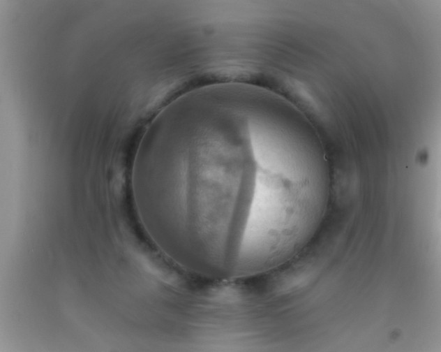 X0000092110259200709191334